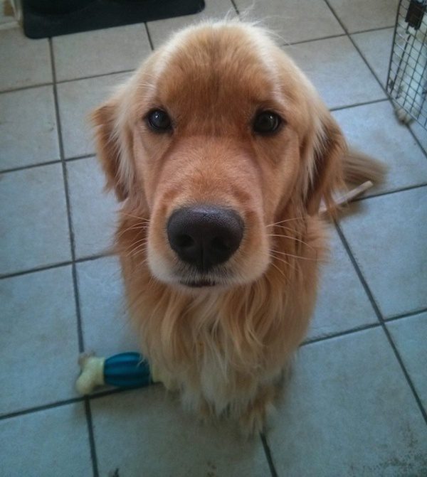 handsome
