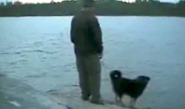 dog win