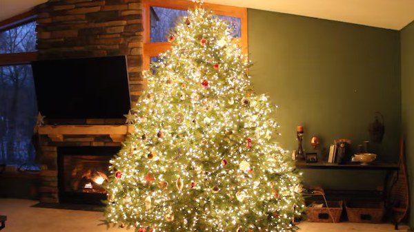 christmas tree light show