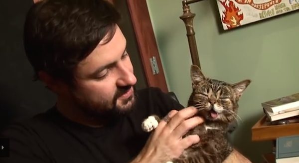 lil bub and mike