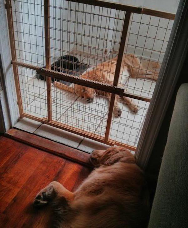lying-down