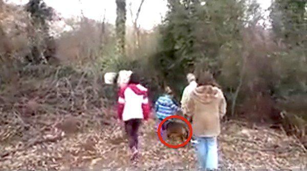 Stray Dog Leads Woman Into The Woods To Help Her Puppies