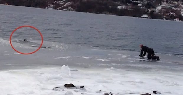 man rescues dog