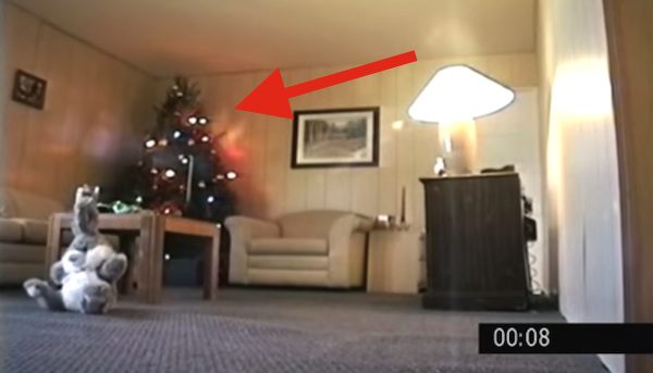 warning about christmas tree fire