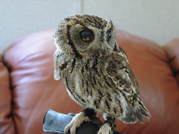 zeusbreakroom