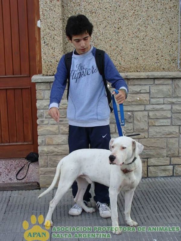bobby-rescue-5