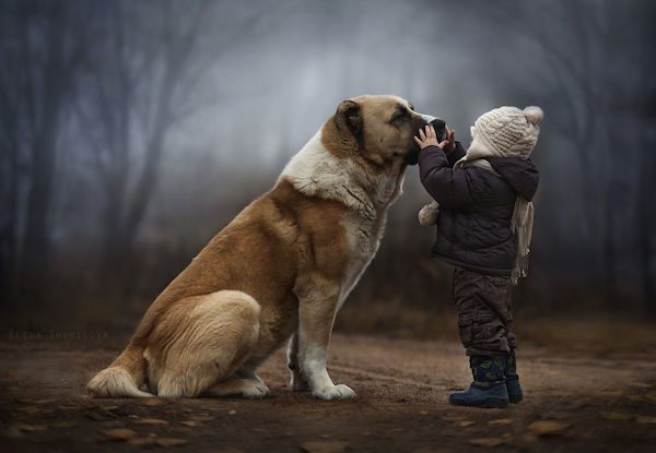 elena-shumilova-photos-10