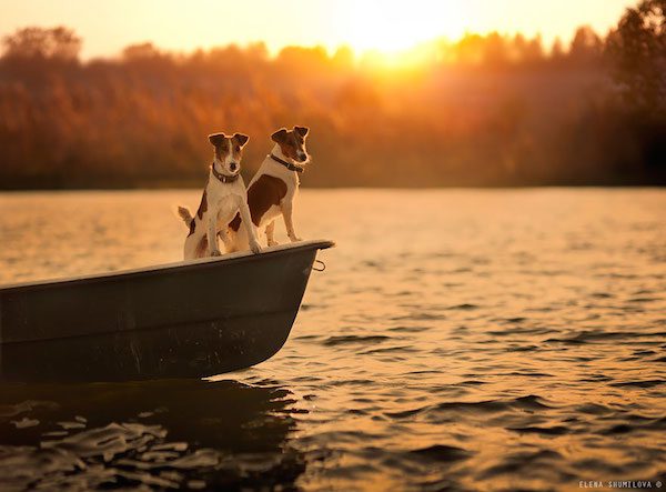 elena-shumilova-photos-11