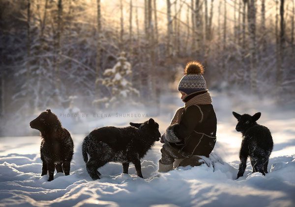 elena-shumilova-photos-13