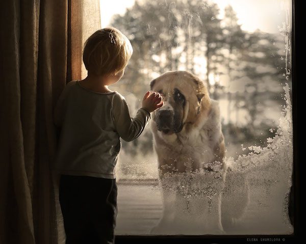elena-shumilova-photos-14