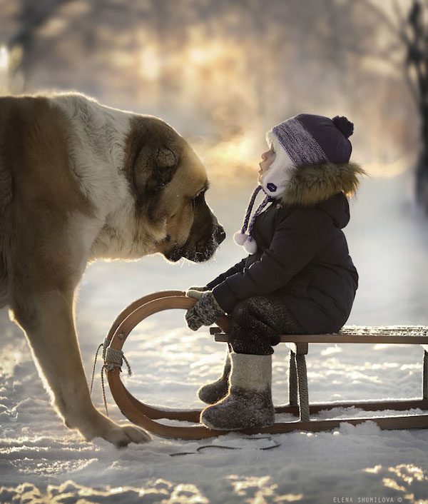 elena-shumilova-photos-16