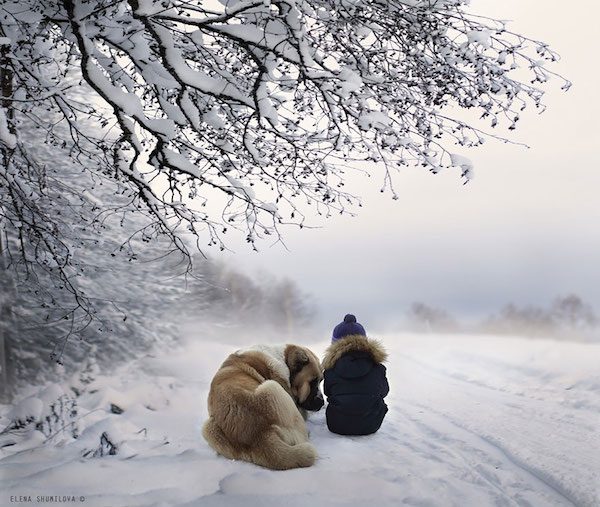 elena-shumilova-photos-17