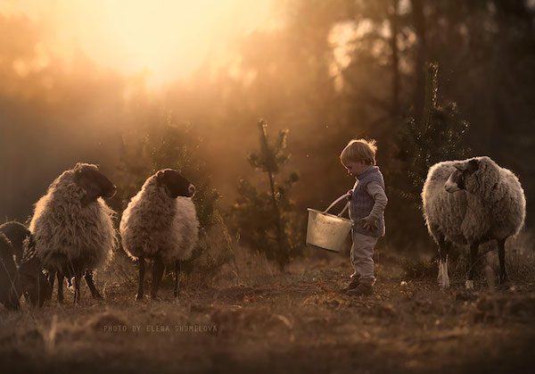 elena-shumilova-photos-18