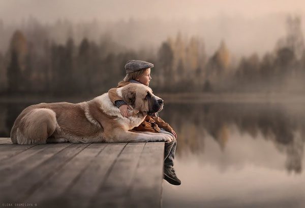 Mother Takes Magical Photos Of Her Young Sons With Animals