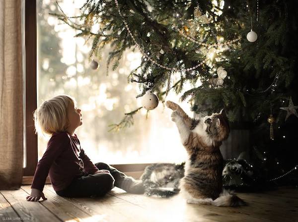 elena-shumilova-photos-2