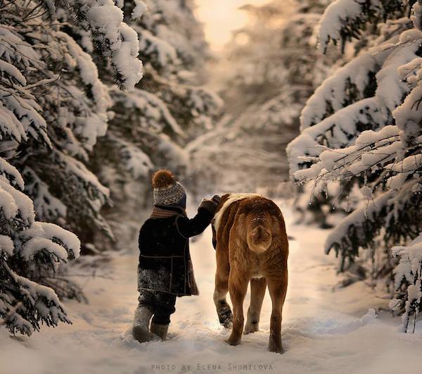 elena-shumilova-photos-3