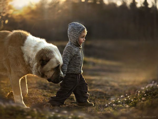 elena-shumilova-photos-7