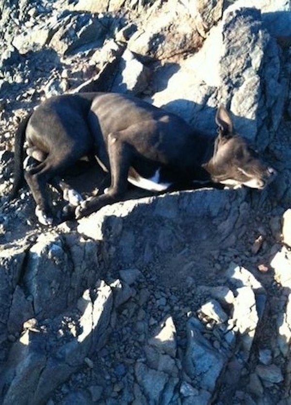 Elijah on the mountain