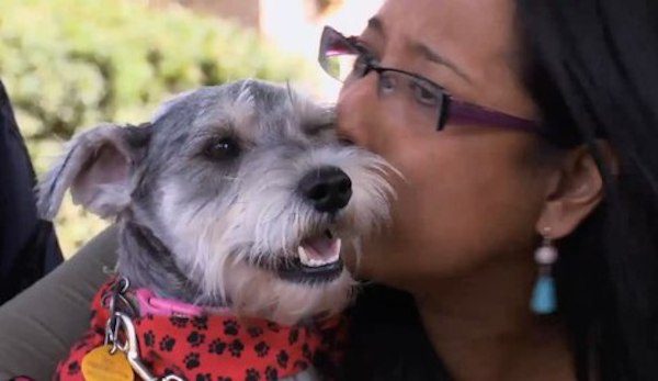 Family Has Emotional Reunion With Dog Missing For 2 Years And Found 700 Miles Away From Home