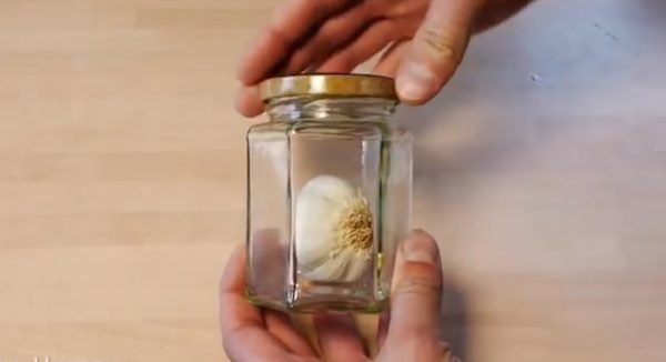 garlic peel hack