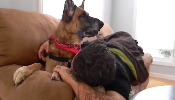 dog's last day