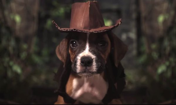 Indiana Bones