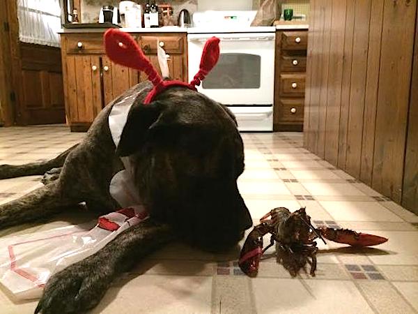 Gizelle with lobster