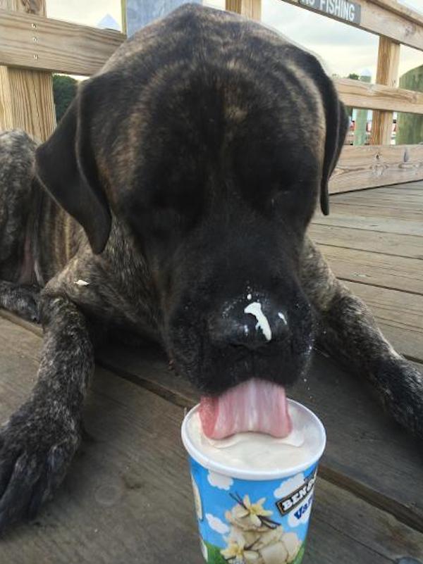 Gizelle with ice cream
