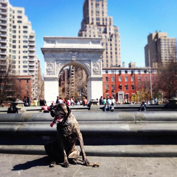 Gizelle in Washington Square