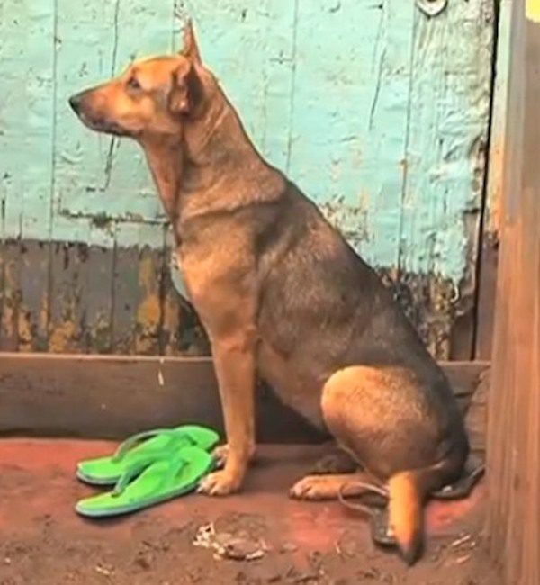 oscar4