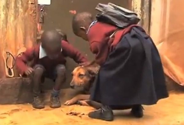 Dog Helps Care For Two Children Abandoned By Their Mother