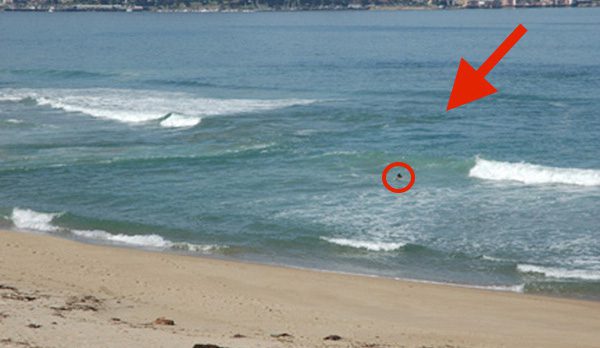 How To Identify And Stay Safe Around Rip Currents