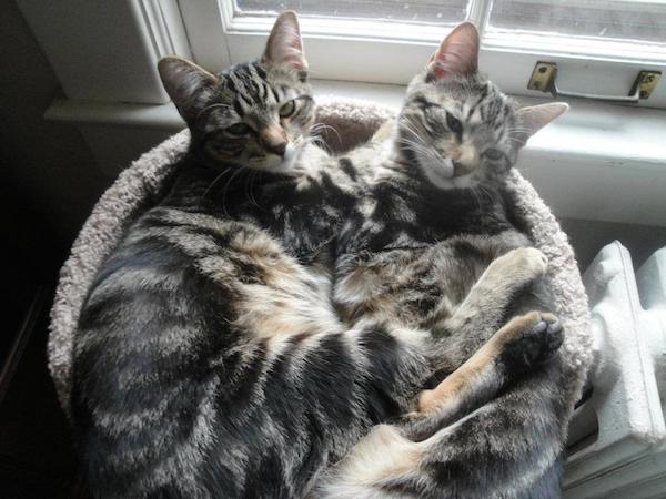 Skipper and Tipper