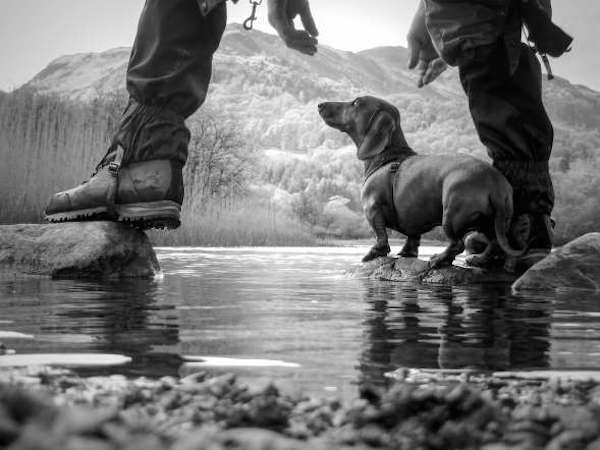 Kennel Club Man's best friend category 2nd place