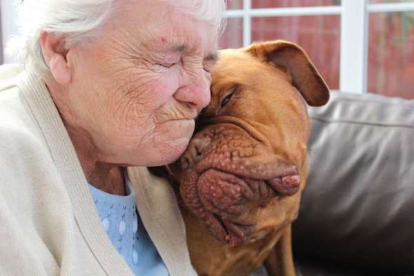 29 Beautiful Photos That Capture The Lives Of Dogs Around The World