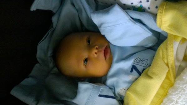baby-leo