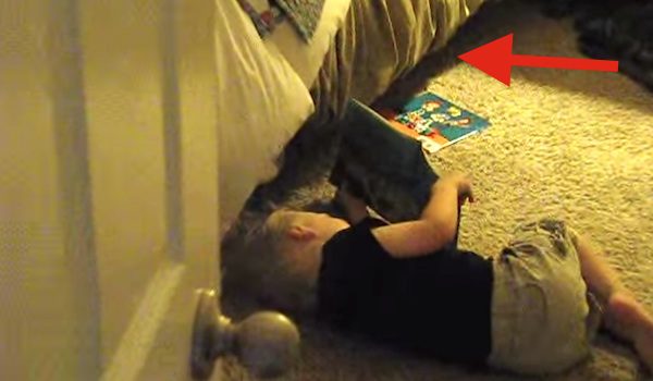 Parents Walk In On Their Toddler Reading A Bedtime Story To Their Dog