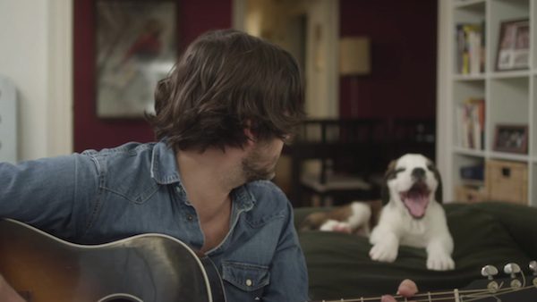 Puppies Help Mend A Broken Heart In Cary Brothers Music Video