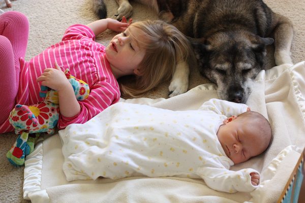 Man Always Hated Dogs Until He Met A Dog That Changed Everything