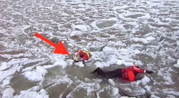 dog saved from icy waters