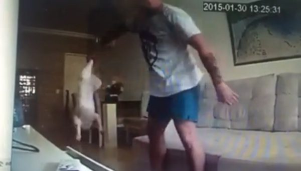 exboyfriend-abuse-dog