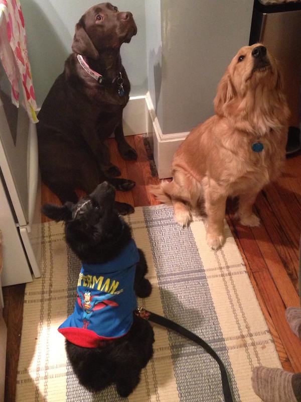 jameson-with-sisters
