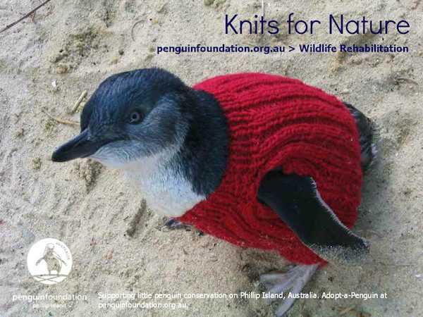 knits-for-nature-2