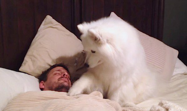 dog wakes up her owner