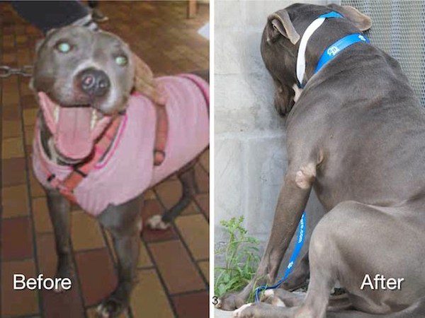 miley-before-after