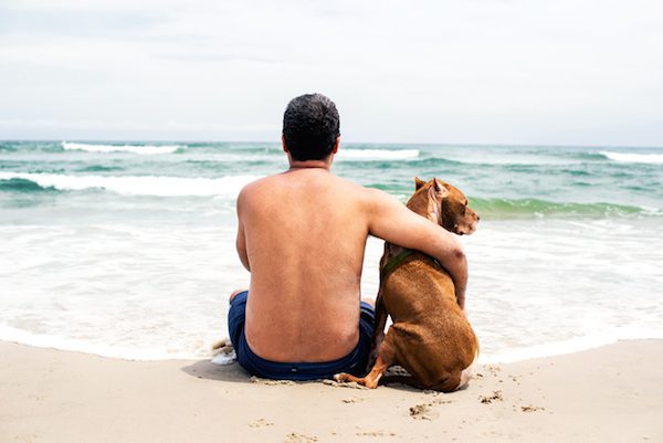 Family Gives Dying Pit Bull The Vacation Of His Lifetime