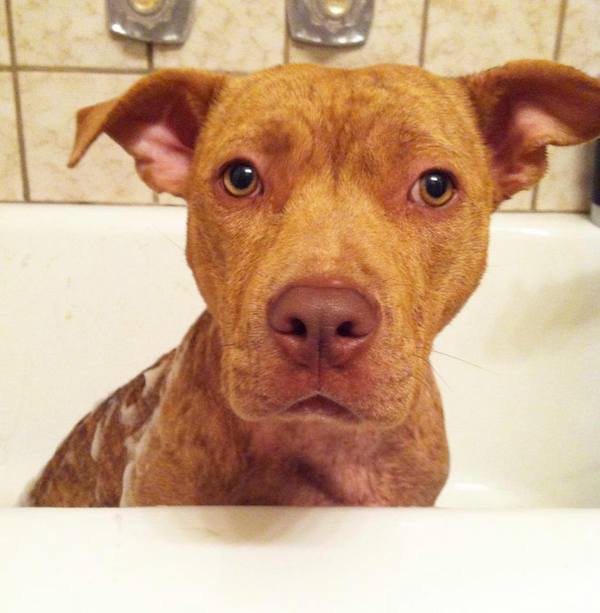 peanut-bath-after
