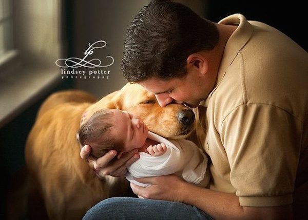 Photographer Captures Tender Moments Between Dogs And Their Young Families