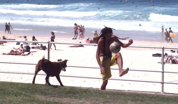 dog volleys soccer ball with man