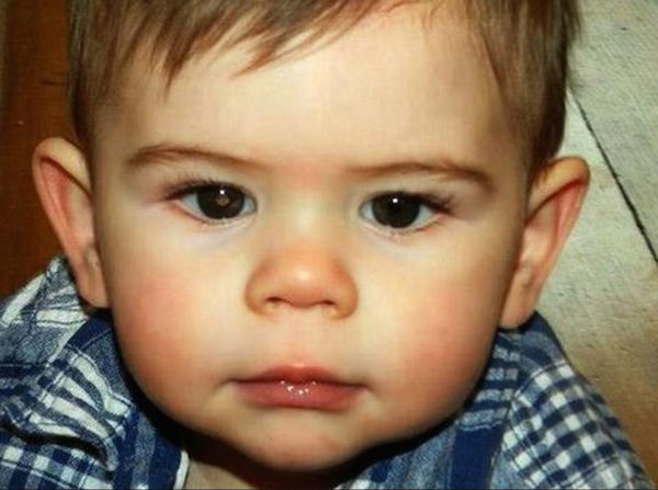 taylor